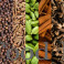 Whole Spices